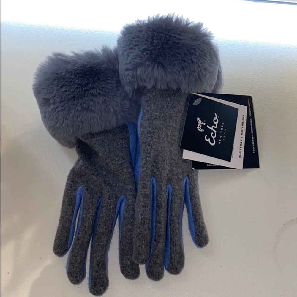 Echo touch cashmere gloves